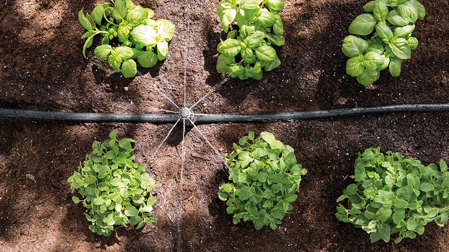 kit dirrigation universel easy drip 7023 hozelock kit dirrigation universel easy drip 7023 hozelock